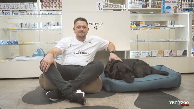 Вирішили завести найкращого друга? смотреть онлайн