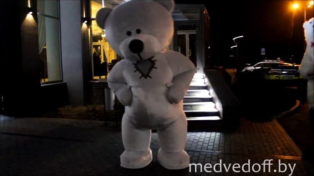Большая Панда и Медведь на свадьбе в Минске
