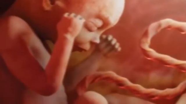 Медитация Доразвитие. В. Синельников ведёт Лариса Киснер смотреть онлайн