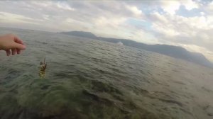 Морская береговая рыбалка на острове Пхукет