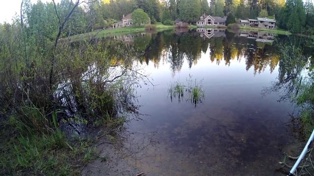 Береговая Рыбалка Басс и Санфиш (Bass and Sunfish Bank Fishing) смотреть онлайн