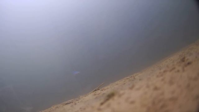 ТОП-4 балансира по ОКУНЮ! Вам нужно всего 4 балансира, что бы ловить окуня ВЕЗДЕ! смотреть онлайн