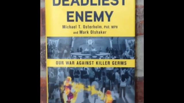 Adult Services: What We're Reading смотреть онлайн