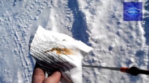 Масло в двигателе Хонды Фрид 2010