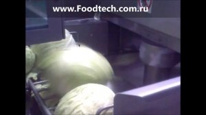 Оборудование для производства квашенной капусты