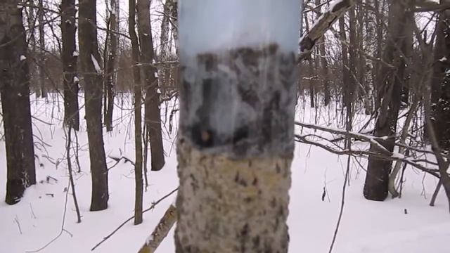 Следы куницы. Traces of marten. смотреть онлайн