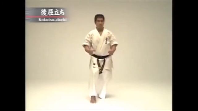 Кёкусинкай Карате/ Стойки/Kyokushin Karate/Stance смотреть онлайн