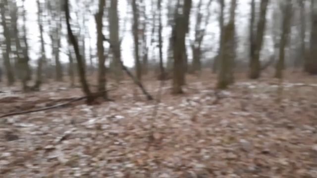 Поиск монет в зимнем лесу смотреть онлайн