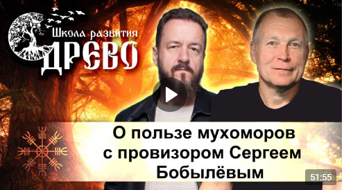 О пользе мухоморов с провизором Сергеем Бобылёвым смотреть онлайн