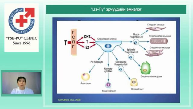Тестостерон смотреть онлайн