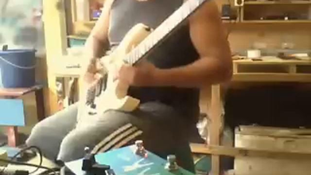 Sustainer Pickups by AMtech handwired x264 смотреть онлайн