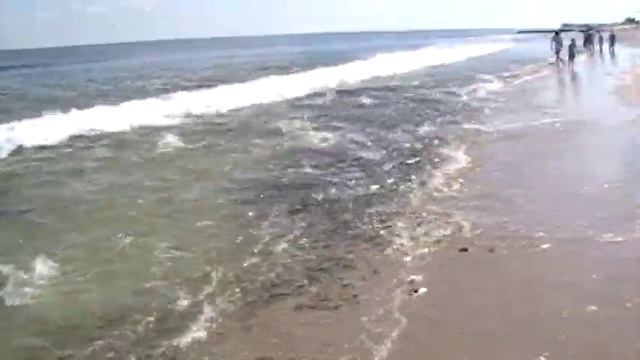 Bluefish blitz at the Jersey Shore, October 2007 смотреть онлайн