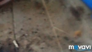 Замена переднего подшипника ступицы фольксваген пассат б3