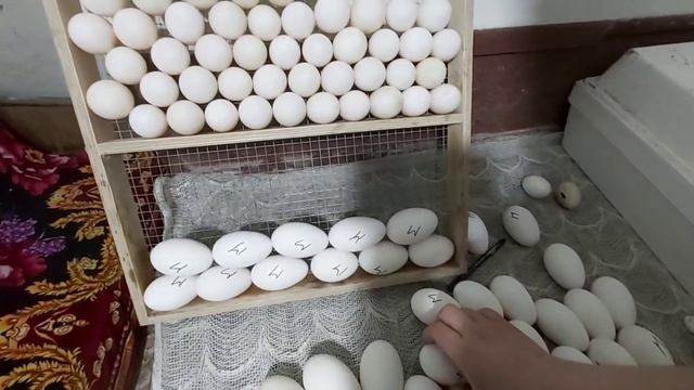 Интересные события