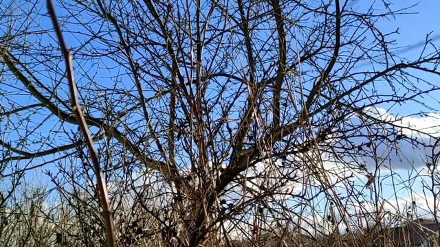 8 явных признаков того, что ваш партнер является вашей родственной душой. смотреть онлайн