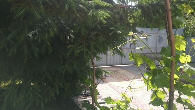 Влог: Лето, жара/ Стираем ковры с маленькой помощницей смотреть онлайн