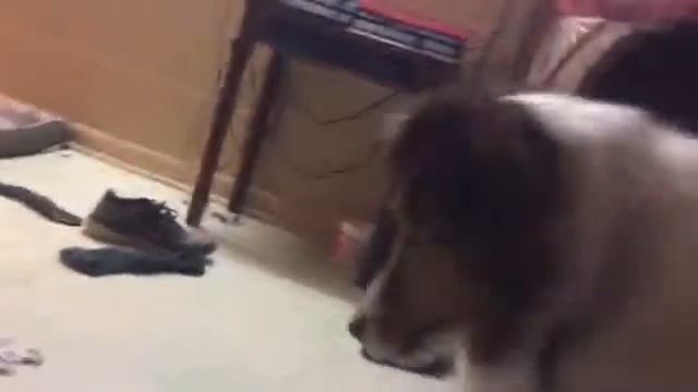 How ten year olds react to fidget spinners смотреть онлайн