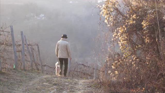 Николай Носков Фотографии Любимых смотреть онлайн