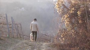 Николай Носков Фотографии Любимых