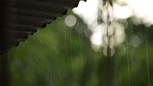 Стих " Где берег твой? " смотреть онлайн