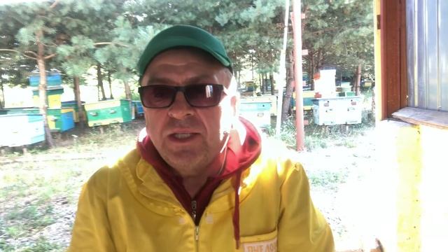 ЗАМЕРШИЙ РАСПЛОД И ЗАСЕВ МЕДОНОСНЫХ ПЧЁЛ. смотреть онлайн