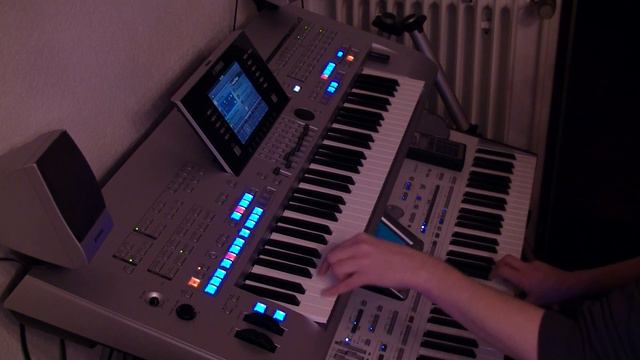 The last Unicorn - Cover PA2x Tyros 4 смотреть онлайн