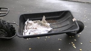 Тележка-прицеп для мотоциклов Скаут (Скаут-3, Скаут-5).