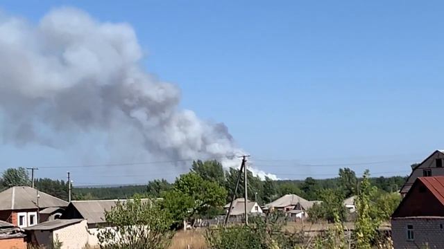 Пожар под Чугуевом. В Купянском и Двуречанском районе горит лес