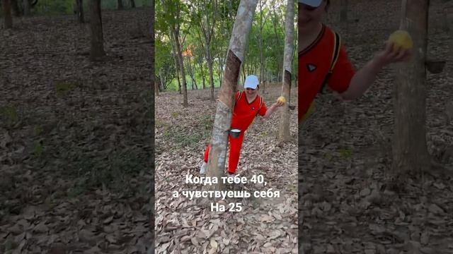 Закат. Дерево где добывают латекс. Помело. И хорошое настроение. смотреть онлайн