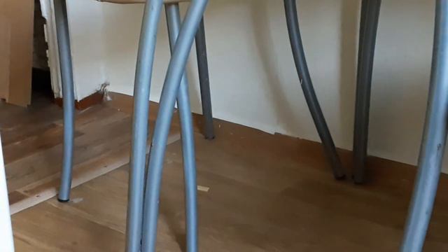 Кот РЫЖИК играется с кусочком сыра.Кот любит сыр ХиХи Совет смотреть онлайн