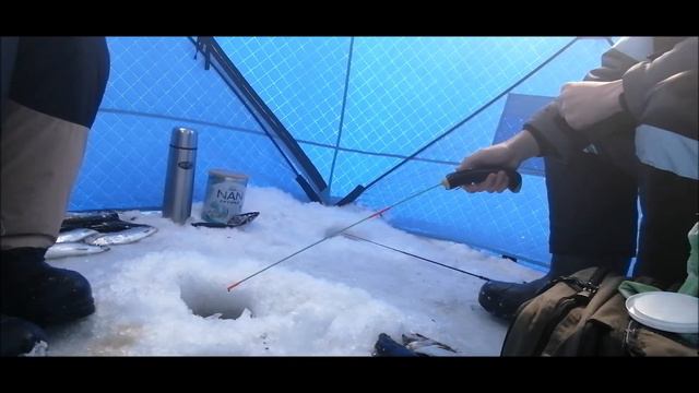 2022 2 Января Прекрасная рыбалка на разнорыбицу смотреть онлайн