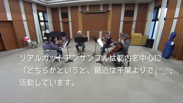 TORO ガット弦　アンサンブルの練習（体験参加募集中！）　金町　12/22 смотреть онлайн
