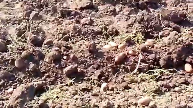 самоделки белой церкви 3 смотреть онлайн