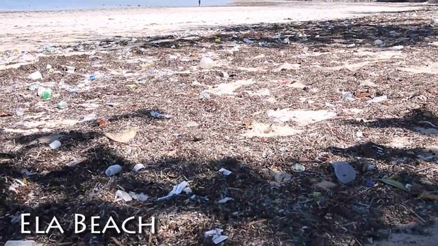 Survival guide to Port Moresby смотреть онлайн