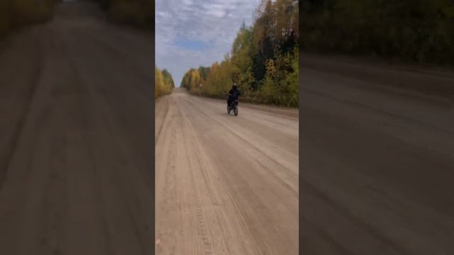 ❤️ #progasi #питбайк #покатушки #стант #вайб #друзья #рекомендации #дпс #мотоцикл #погоня смотреть онлайн