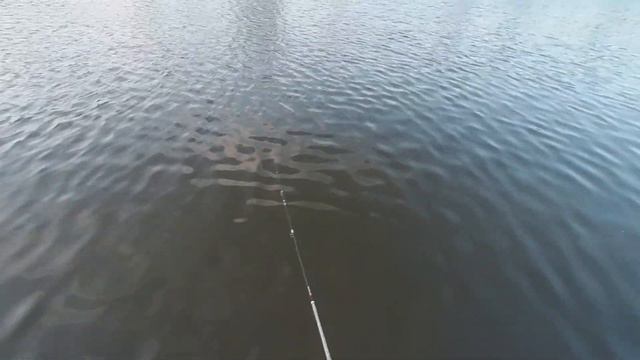 Распаковка и Обзор спиннинга DAYO Liropus смотреть онлайн