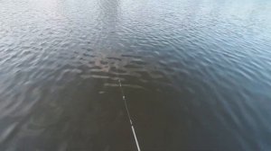 Распаковка и Обзор спиннинга DAYO Liropus