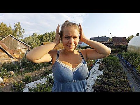 Заходи! Налетай! Торопись! Покупай! Саженцы на УСАД.РФ Как сделать заказ, и обзор растений. смотреть онлайн