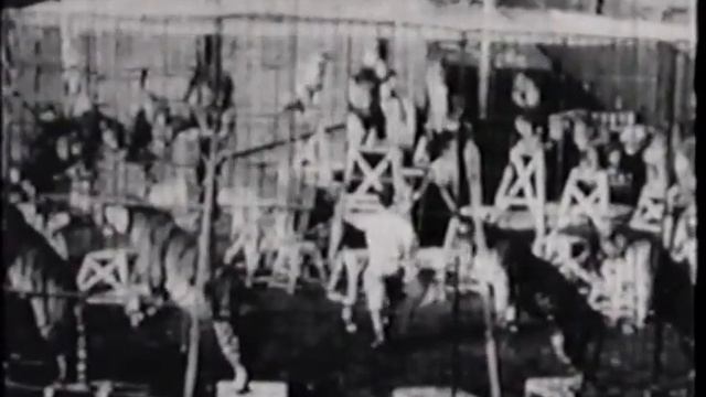 Ringling Bros Circus Chicago Circa 1928-33