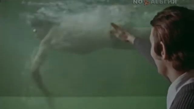 Киножурнал "Хочу всё знать" Выпуск №120 1978 г СССР смотреть онлайн