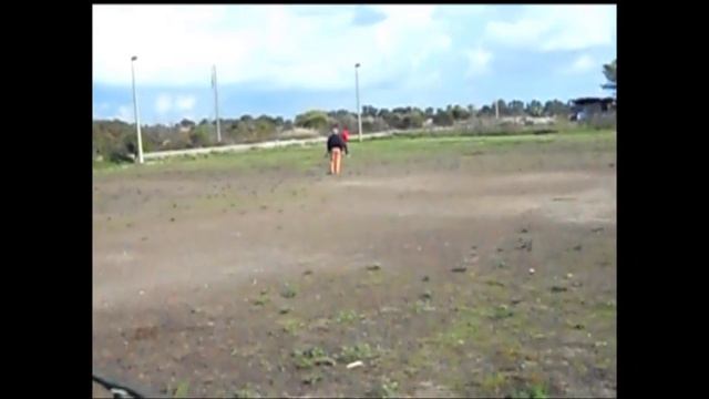 Sport & Dog Ribera (BOXER) Anita ztp 24 11 12 Catania video HD 1 смотреть онлайн