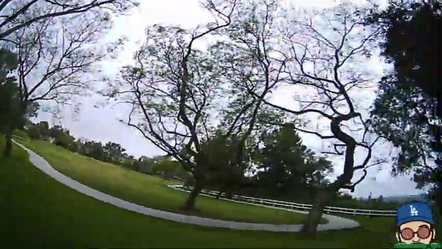 Morning Rip w/ The 3' смотреть онлайн
