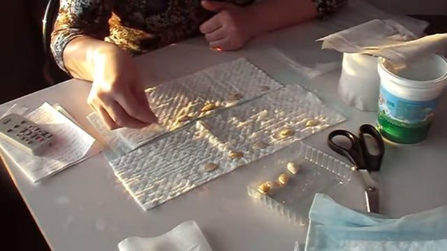 Семена в пелёнках. Учимся на своих ошибках. смотреть онлайн