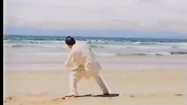 Chen Xiaowang - Xinjia Yi Lu (full Length) Taijiquan