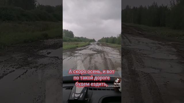 Сибиряк-Добровольск-Цветочное-Русская Поляна смотреть онлайн