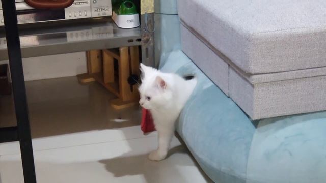 โจโจ้ บลูอายไปเที่ยวนอกบ้านครั้งแรก смотреть онлайн