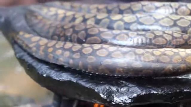 Приготовление рыбного супа с сахарным тростником-улов приготовление рыбы для употребления в пищу