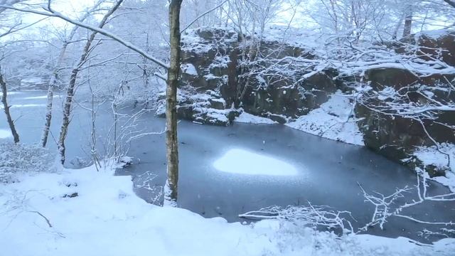 Solace in the snow | Winter Swimming смотреть онлайн