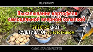 Проба копки картофеля веерной копалкой...