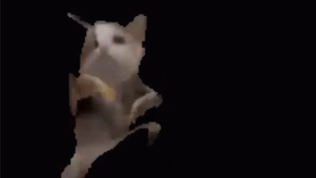 Cat dances to Gangnam style смотреть онлайн